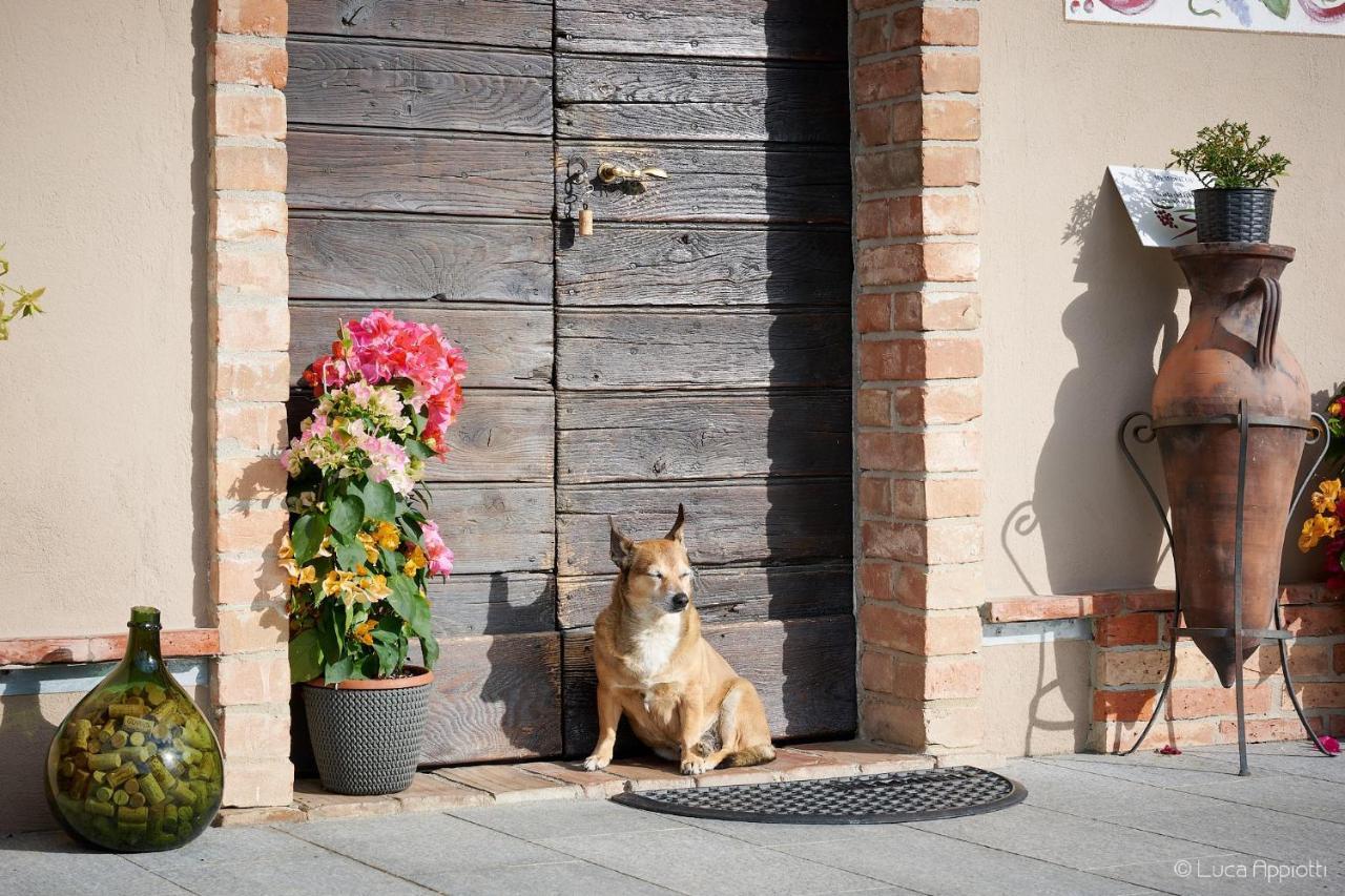 Cascina Sciulun Country house